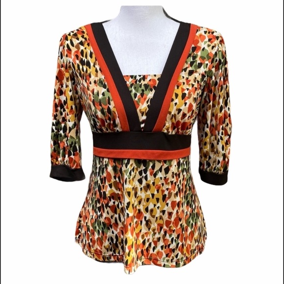 Geometric Earth Tone Top by Petite Sophisticate - Picture 1 of 11